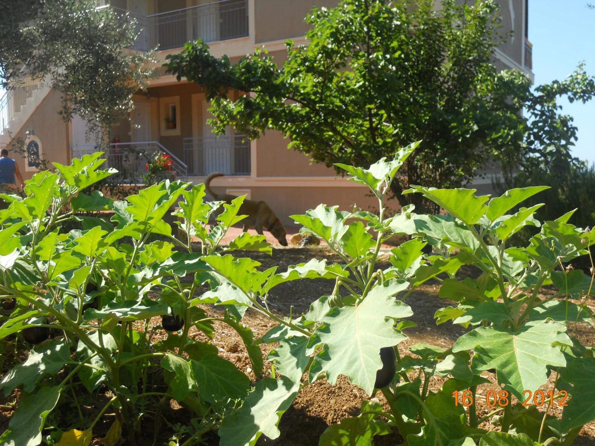 Appartement Delfinia à Vlachata Extérieur photo